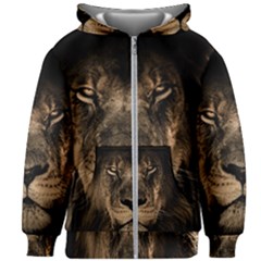 African Lion Wildcat Mane Closeup Kids  Zipper Hoodie Without Drawstring by Sudhe