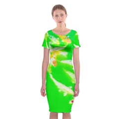 Koi Carp Scape Classic Short Sleeve Midi Dress by essentialimage