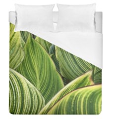 Leaves Striped Pattern Texture Duvet Cover (queen Size) by Simbadda