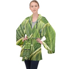 Leaves Striped Pattern Texture Long Sleeve Velvet Kimono 