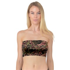 Plant Colorful Red Garden Leaves Bandeau Top