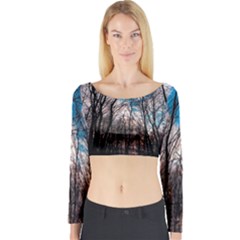 Winter Tree Park Sky Nature Long Sleeve Crop Top by Simbadda