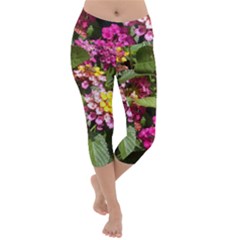 Summer Lantana W Bee Lightweight Velour Capri Yoga Leggings by Riverwoman