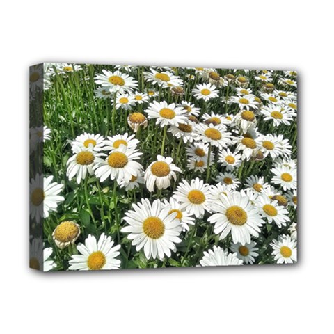 Columbus Commons Shasta Daisies Deluxe Canvas 16  X 12  (stretched)  by Riverwoman