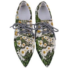 Columbus Commons Shasta Daisies Women s Pointed Oxford Shoes by Riverwoman