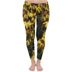 Echinacea paradoxa Classic Winter Leggings