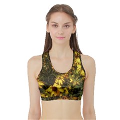 Echinacea paradoxa Sports Bra with Border