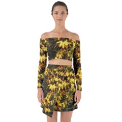 Echinacea paradoxa Off Shoulder Top with Skirt Set