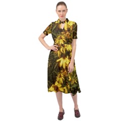 Echinacea paradoxa Keyhole Neckline Chiffon Dress