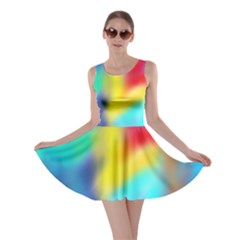 Soft Color Blend Skater Dress