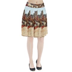 East Budleigh Devon Uk Vintage Old Pleated Skirt