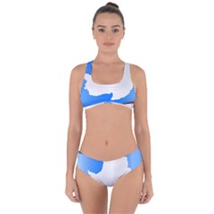 Waving Proposed Flag of Antarctica Criss Cross Bikini Set