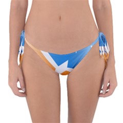 Waving Flag Of Tierra Del Fuego Province, Argentina Reversible Bikini Bottom