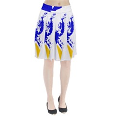 Magallanes Region Flag Map Of Chilean Antarctic Territory Pleated Skirt by abbeyz71