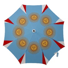 Unofficial Flag Of Argentine Cordoba Province Hook Handle Umbrellas (large) by abbeyz71