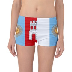 Unofficial Flag Of Argentine Cordoba Province Reversible Boyleg Bikini Bottoms by abbeyz71