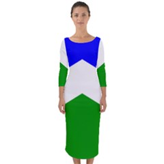 Flag Of Seward Quarter Sleeve Midi Bodycon Dress by abbeyz71