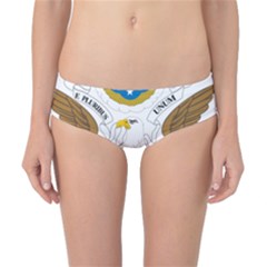 Greater Coat Of Arms Of The United States Classic Bikini Bottoms