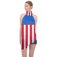 Lesser Coat Of Arms Of The United States Halter Asymmetric Satin Top by abbeyz71