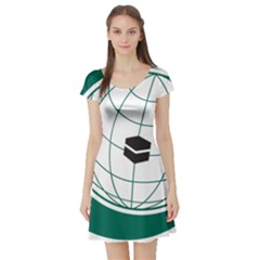 Flag Of The Organization Of Islamic Cooperation Short Sleeve Skater Dress by abbeyz71