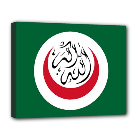 Flag Of The Organization Of Islamic Cooperation, 1981-2011 Deluxe Canvas 20  X 16  (stretched) by abbeyz71