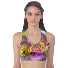 Coleus & Petunia Sports Bra by Riverwoman