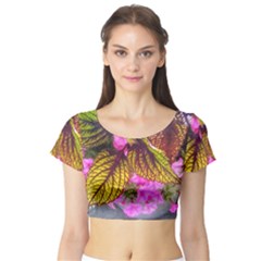 Coleus & Petunia Short Sleeve Crop Top by Riverwoman