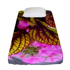 Coleus & Petunia Fitted Sheet (single Size)