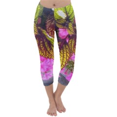 Coleus & Petunia Capri Winter Leggings 