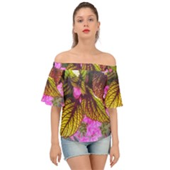 Coleus & Petunia Off Shoulder Short Sleeve Top by Riverwoman