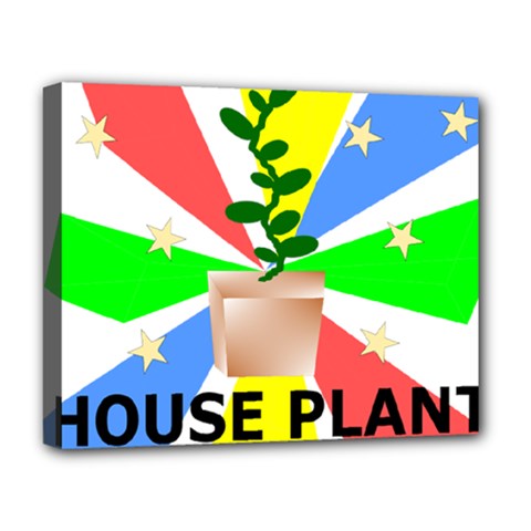 House Plant Deluxe Canvas 20  X 16  (stretched) by okhismakingart