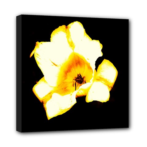 Yellow And Orange Tulip Mini Canvas 8  X 8  (stretched)