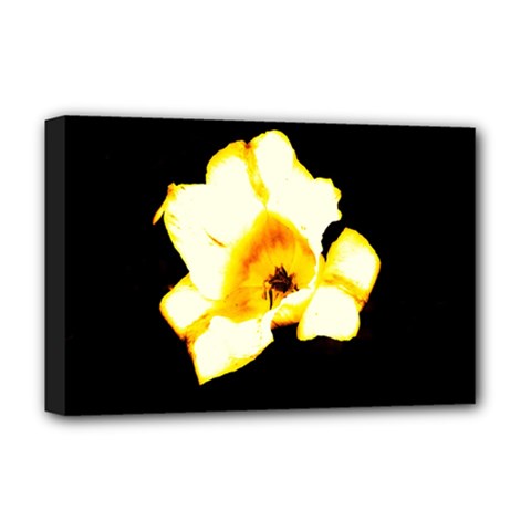 Yellow And Orange Tulip Deluxe Canvas 18  X 12  (stretched) by okhismakingart