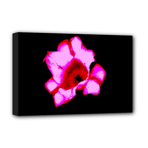 Pink And Red Tulip Deluxe Canvas 18  X 12  (stretched) by okhismakingart