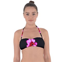 Pink And Red Tulip Halter Bandeau Bikini Top by okhismakingart