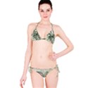 Vector Palm Leaves Pattern  Illustration Classic Bikini Set View3