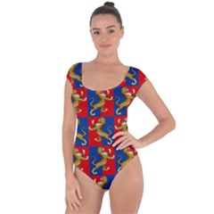 Lion 1 Short Sleeve Leotard 