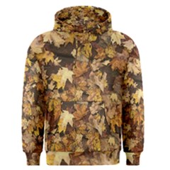 Late October Leaves 3 Men s Pullover Hoodie by bloomingvinedesign