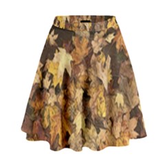 Late October Leaves 3 High Waist Skirt