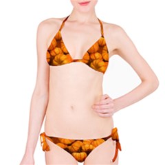 Mini Pumpkins Classic Bikini Set by bloomingvinedesign