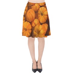 Mini Pumpkins Velvet High Waist Skirt by bloomingvinedesign