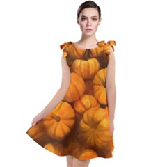 Mini Pumpkins Tie Up Tunic Dress by bloomingvinedesign