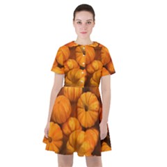 Mini Pumpkins Sailor Dress by bloomingvinedesign