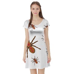 Insect Spider Wildlife Short Sleeve Skater Dress