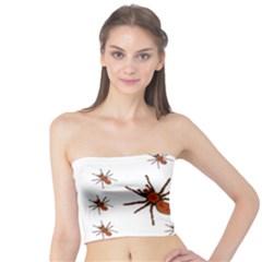Insect Spider Wildlife Tube Top