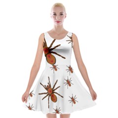 Insect Spider Wildlife Velvet Skater Dress