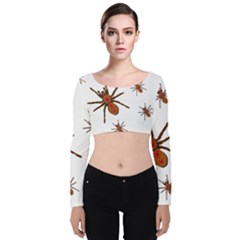 Insect Spider Wildlife Velvet Long Sleeve Crop Top by Mariart