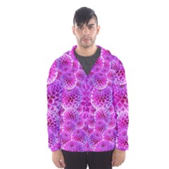 Nature Blossom Plant Flower Purple Petal Bloom Pattern Pollen Pink Flora Flowers Dahlia Design Beaut Men s Hooded Windbreaker by Vaneshart