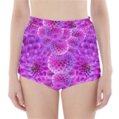 Nature Blossom Plant Flower Purple Petal Bloom Pattern Pollen Pink Flora Flowers Dahlia Design Beaut High-waisted Bikini Bottoms by Vaneshart