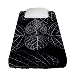 Black And White Plant Leaf Flower Pattern Line Black Monochrome Material Circle Spider Web Design Fitted Sheet (single Size) by Vaneshart